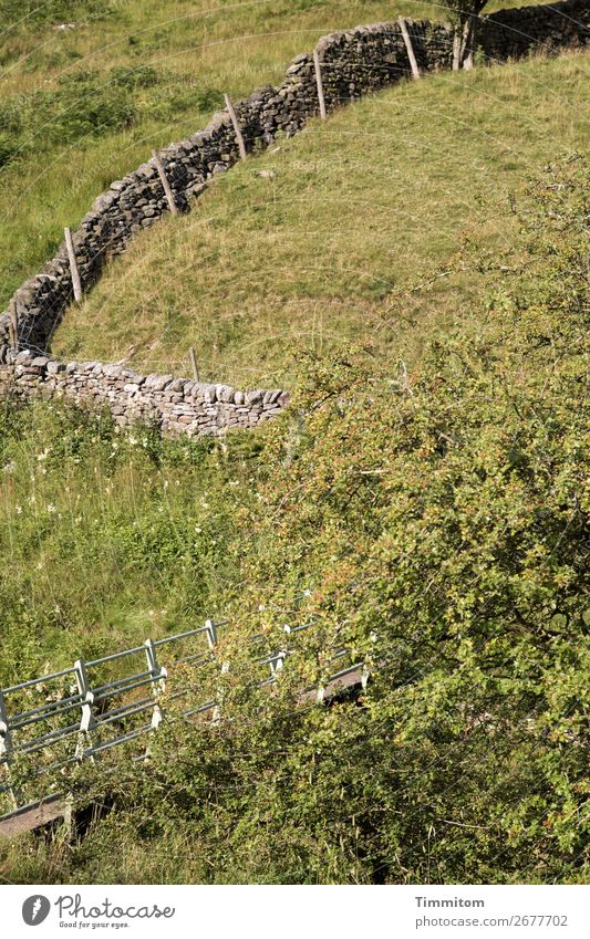 Der Weg ist das Ziel? Umwelt Natur Landschaft Gras Sträucher Wiese Hügel Großbritannien Wege & Pfade Brücke einfach grün Übergang Mauer Weide Yorkshire steil