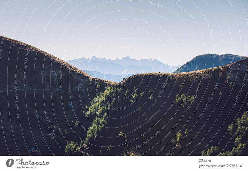 Hirzer - Meran Berge u. Gebirge wandern Umwelt Natur Landschaft Sommer Schönes Wetter Wald Alpen Gipfel gigantisch natürlich blau grün Erholung Farbe Idylle