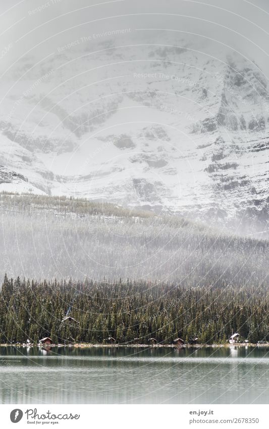 Schöner wohnen Ferien & Urlaub & Reisen Tourismus Ausflug Abenteuer Winter Schnee Winterurlaub Berge u. Gebirge Umwelt Natur Landschaft Klima Klimawandel Nebel