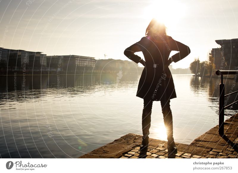 Backlight Städtereise feminin Junge Frau Jugendliche 1 Mensch 18-30 Jahre Erwachsene Sonne Herbst Flussufer Frankfurt am Main Stadt Menschenleer Haus Jacke