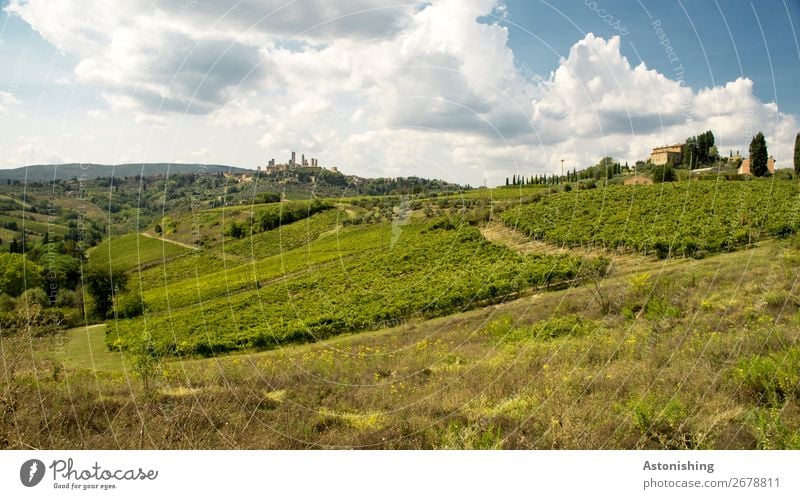 Blick auf San Gimignano Umwelt Natur Landschaft Himmel Wolken Wetter Pflanze Gras Sträucher Feld Wald Hügel Berge u. Gebirge Siena Toskana Italien Kleinstadt