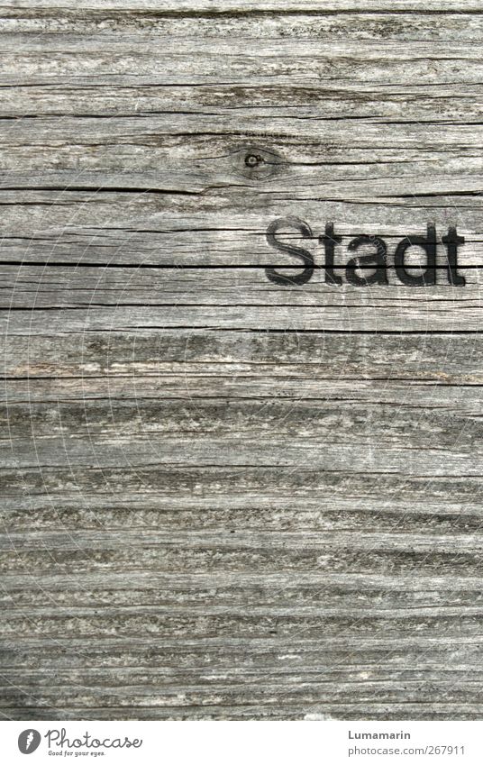 Umweltzone Stadt Park Holz Zeichen Schriftzeichen alt fest natürlich retro trocken Erholung modern nachhaltig Umweltschutz Wachstum Häusliches Leben Lifestyle