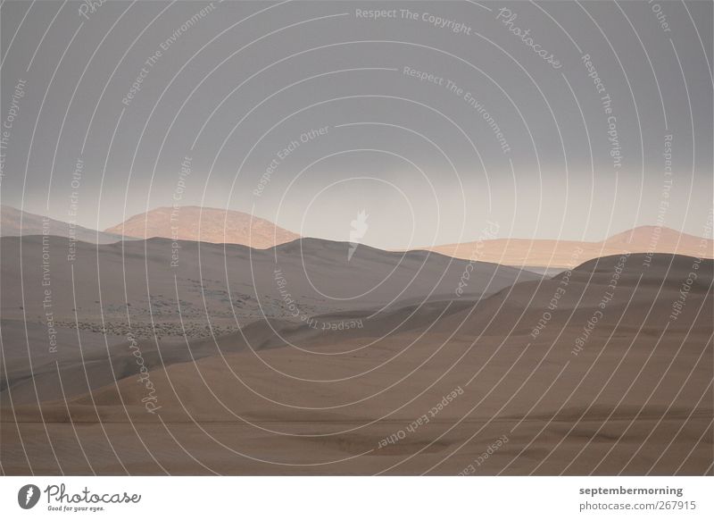 Namib Landschaft Erde Sand Dürre Hügel trocken weich braun Ferne Farbfoto Gedeckte Farben Außenaufnahme Menschenleer Dämmerung Starke Tiefenschärfe Totale