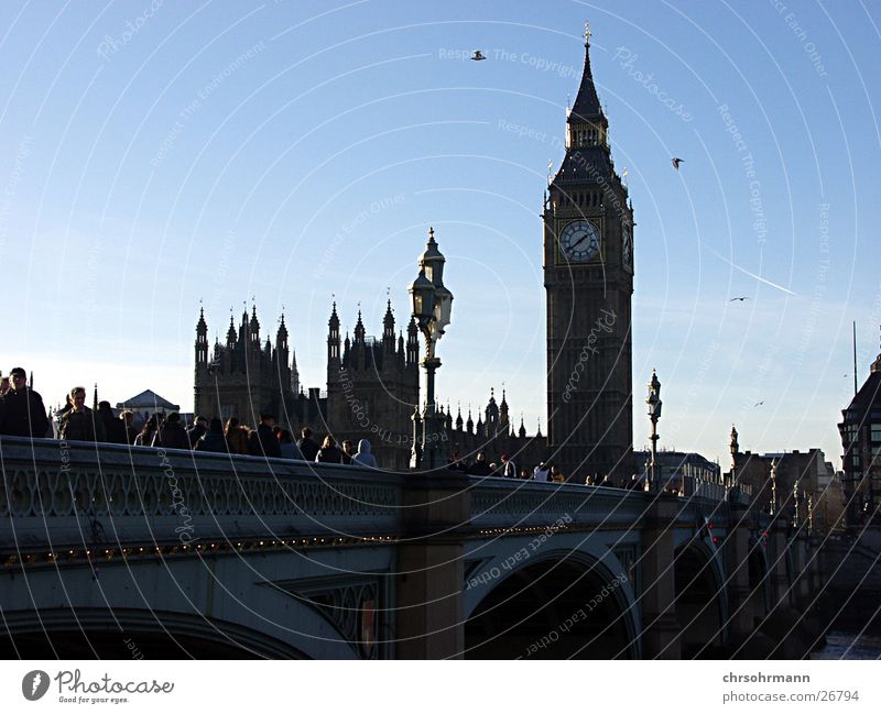 Big Ben II London Themse Vogel Brücke Turm Houses of Parliament