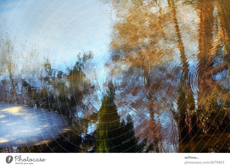 jahreszeiten Wasser Frühling Herbst Winter Klima Teich See kalt Reflexion & Spiegelung Tauwetter Eis tauen herbstlich Farbfoto Außenaufnahme
