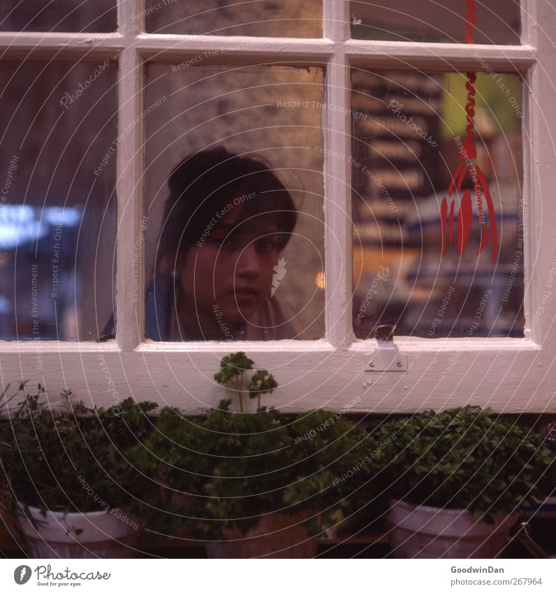 Warte hier. Mensch feminin Junge Frau Jugendliche 1 Haus Ladengeschäft Blumentopf Kräuter & Gewürze Fenster warten dunkel eckig Farbfoto Innenaufnahme Tag Licht