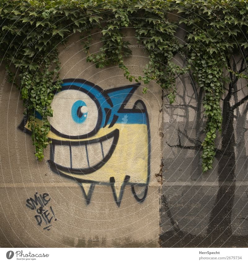 smile or die! Pflanze Grünpflanze Wilder Wein Mauer Wand Schriftzeichen Graffiti einzigartig lustig Stadt Lächeln Fisch Haifisch Entscheidung Tod Gebiss
