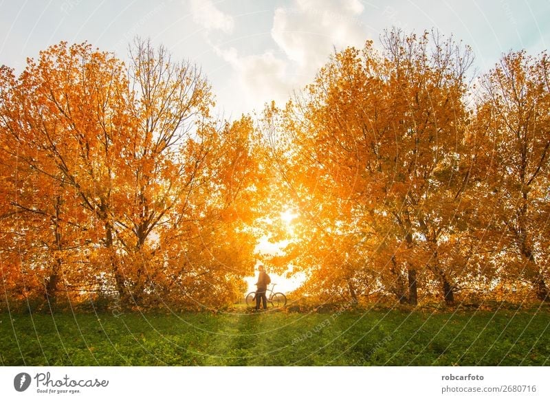 Mann mit Fahrrad mit Bäumen im Herbst Lifestyle Freude Abenteuer Berge u. Gebirge Sport Fahrradfahren Erwachsene Natur Landschaft Baum Wald Straße Wege & Pfade