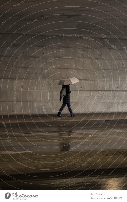 Indoor rain Mensch Erwachsene Körper 1 schlechtes Wetter Regen Stadt Bauwerk Mauer Wand Beton lustig grau Regenschirm gehen Fußgänger Fußgängerunterführung