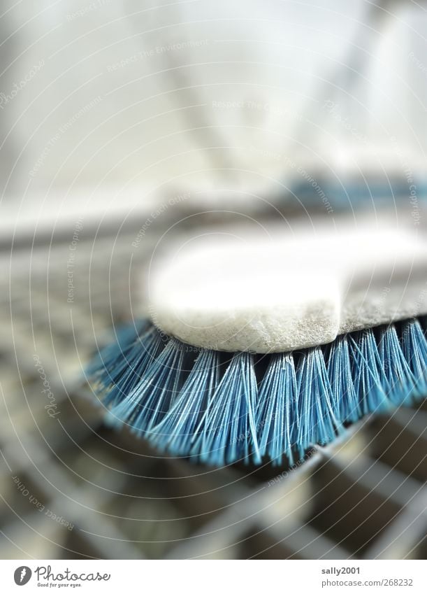 Blue cleaning Körperpflege Bürste Gitterrost Reinigen dreckig Sauberkeit blau bürsten hart Reinlichkeit borstig Borsten Putztag Farbfoto Außenaufnahme