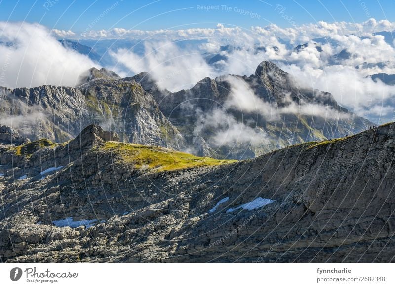 Bergwelten Umwelt Natur Landschaft Pflanze Urelemente Erde Luft Himmel Wolken Sonne Wetter Schönes Wetter Wind Baum Gras Felsen Alpen Berge u. Gebirge Gipfel