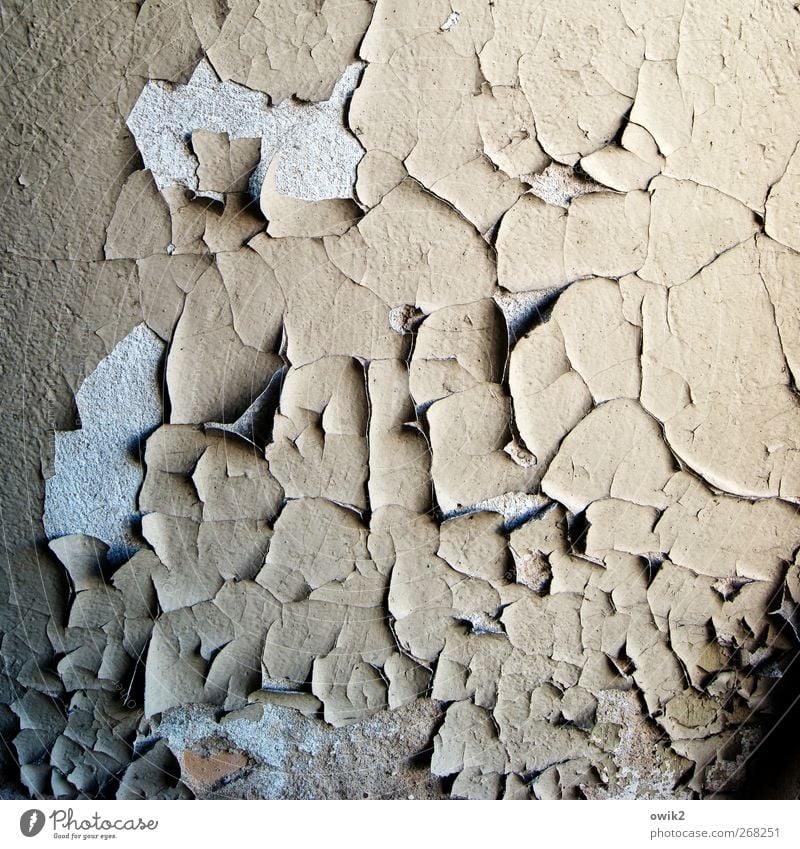 Guter alter Jahrgang Mauer Wand historisch trashig trist Verfall Vergangenheit Vergänglichkeit Wandel & Veränderung Farben und Lacke abblättern verfallen morbid