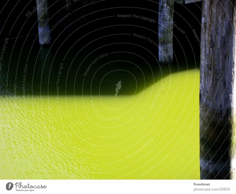 Wasserschattengewächse Geometrie graphisch grün ruhig Holz Ostsee Schatten verfallen