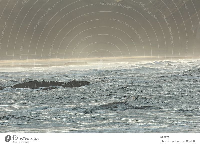 Nordsee in Schottland Meer nordisches Licht nordische Romantik Nebel Meeresstrand Meeresküste Meeresbucht Meeresromantik maritim Meeresbrise Nebelschleier