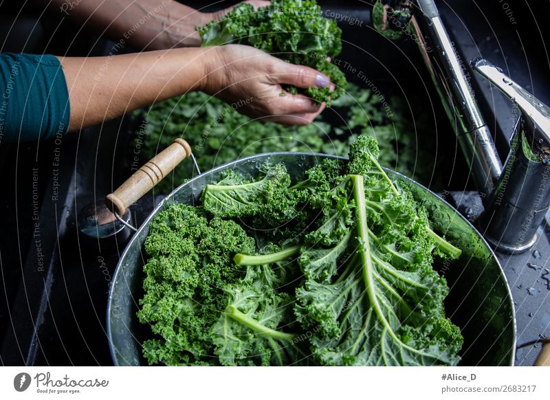 Grünkohl waschen Lebensmittel Gemüse Salat Salatbeilage Kohl Grünkohlblatt Ernährung Bioprodukte Vegetarische Ernährung Diät Fasten Schalen & Schüsseln