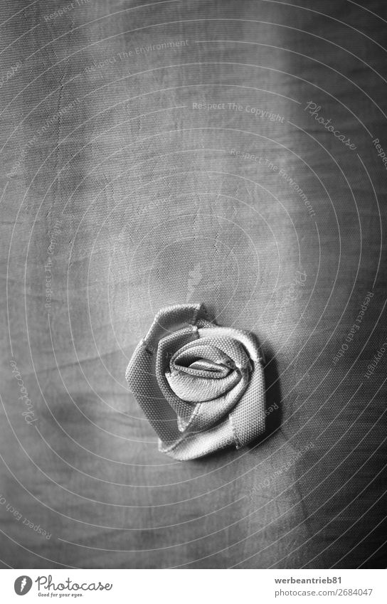Vorhang mit einem Rosenemblem in Schwarz-Weiß Schwarzweißfoto Einzelobjekt Nahaufnahme zerbrechlich simpel einfach frisch Lifestyle heimisch Haushaltsgerät