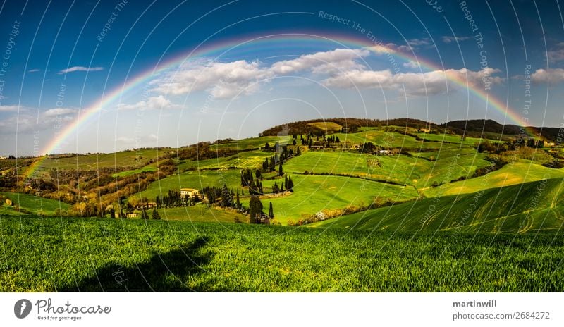 Regenbogen über der Toskana Ferien & Urlaub & Reisen Ausflug Natur Landschaft Wolken Schönes Wetter Pinie Wiese Hügel Italien schön Farbfoto Außenaufnahme