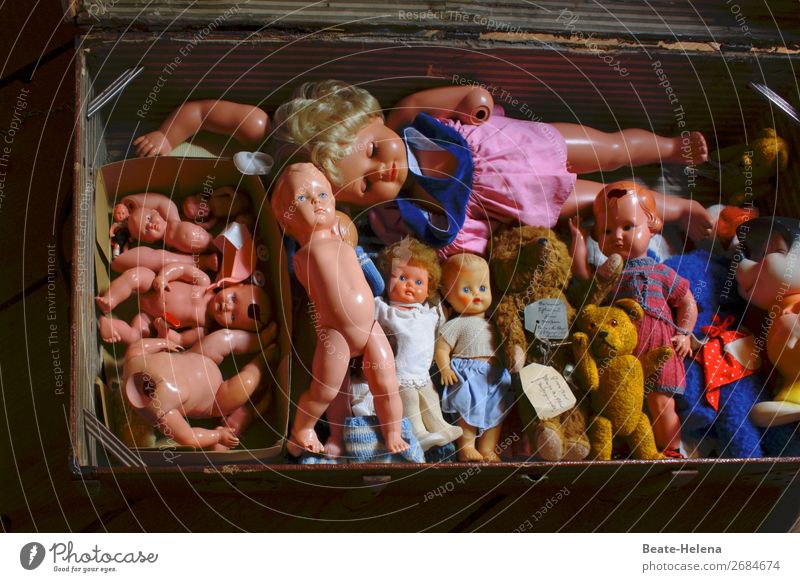 Koffer voller Kindheitserinnerungen Puppen Spielzeug vergangenheit kaputt Sammlung Teddybär beschädigt Speicher Entwicklung Lernen spielerisch kopflos