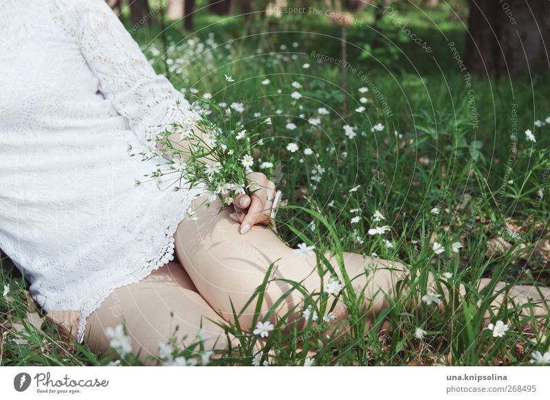 frühling elegant feminin Junge Frau Jugendliche Erwachsene Arme Hand Beine Oberkörper 1 Mensch 18-30 Jahre Natur Frühling Blume Gras Wiese Mode Kleid Spitze