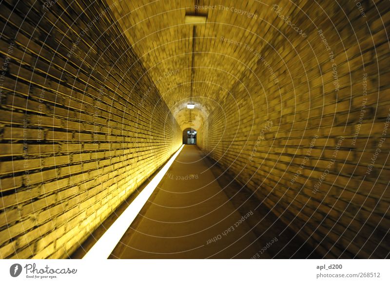 zooom Keller Arbeitsplatz Weinbau Menschenleer Weinkeller Mauer Wand leuchten authentisch dunkel gelb Geschwindigkeit Einsamkeit Kraft Tunnel Licht Lampe