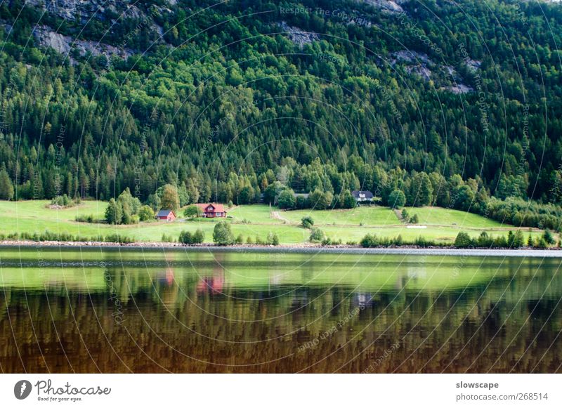 Seelandschaft in Norwegen Angeln Natur Landschaft Wasser Sommer Wald Hügel Seeufer Bucht Fjord Fluss Fischerdorf Erholung einfach Sauberkeit schön Abenteuer