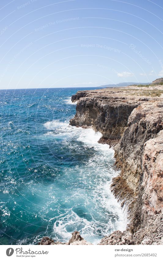 Küste von Kuba Ferien & Urlaub & Reisen Ausflug Abenteuer Freiheit Sommerurlaub Meer Insel Wellen Natur Landschaft Pflanze Frühling wandern Unendlichkeit