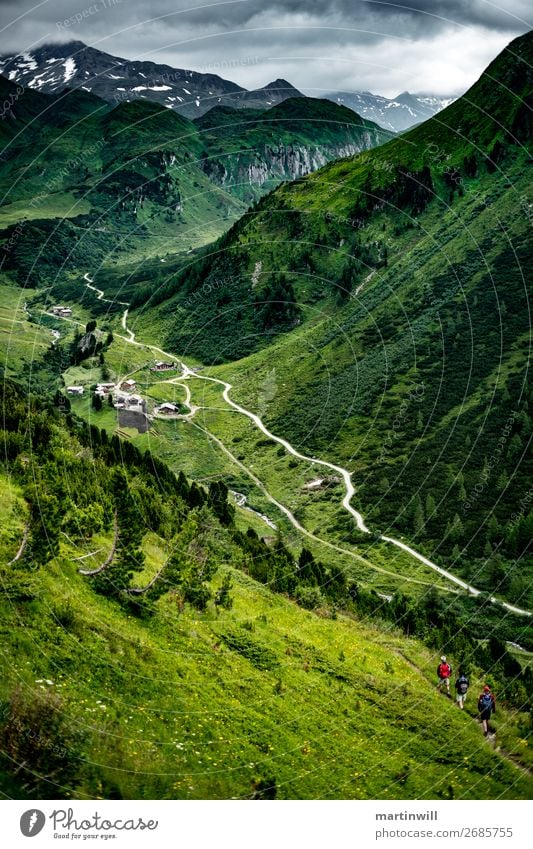 Abstieg ins Pustertal / Südtirol Berge u. Gebirge wandern Klettern Bergsteigen Natur Landschaft Wiese Felsen Alpen Gipfel Tal Fußweg hoch grün Wege & Pfade