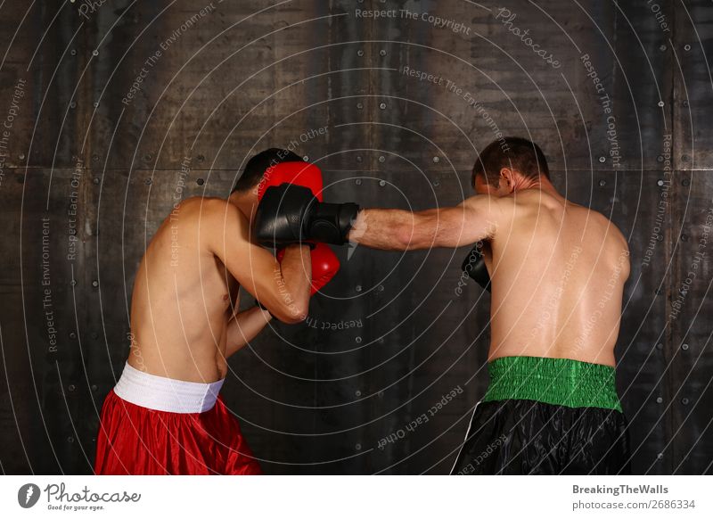 Zwei Boxer Männer boxen in Handschuhen Sport Kampfsport Sportler Erfolg Verlierer Sportveranstaltung maskulin Mann Erwachsene 2 Mensch muskulös stark rot