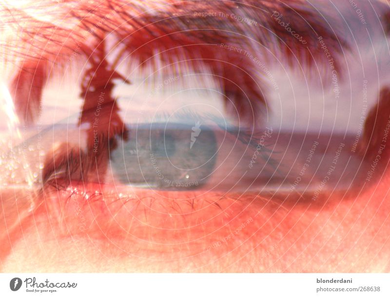 "Seeblick" Gesicht Insel Auge 18-30 Jahre Jugendliche Erwachsene Umwelt Landschaft Baum tanganikasee Sonnenbrille beobachten Erholung weinen schön ruhig