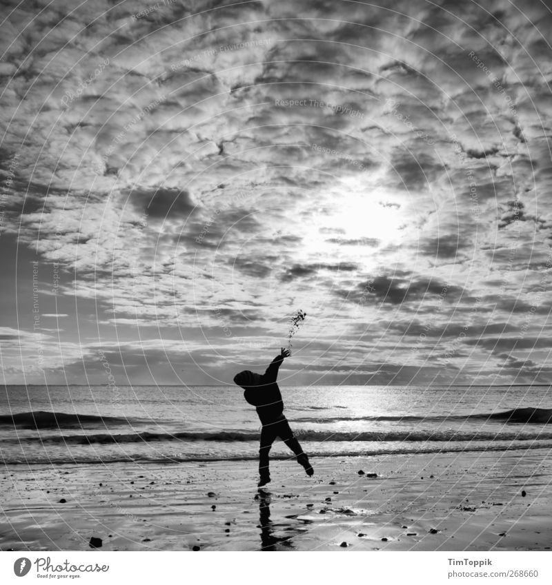 Borkum Bounce #7 Nordsee Nordseeküste Nordseestrand Nordseeinsel Ostfriesische Inseln Himmel Meer Wolkenhimmel Sonnenuntergang Spielen werfen 1 Mensch