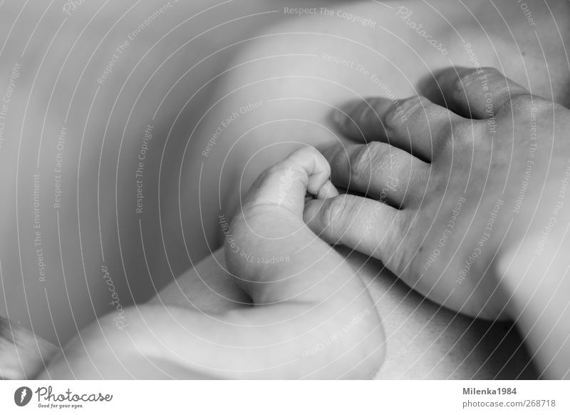 kleine Hand und große Hand Mensch feminin Baby Frau Erwachsene Mutter 2 0-12 Monate Glück Gefühle Stimmung Vertrauen Sicherheit Schutz Verantwortung achtsam