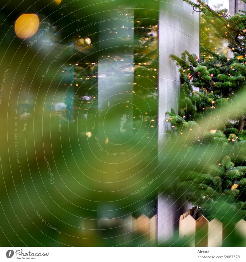 Junk | Rest vom Fest Weihnachten & Advent Weihnachtsbaum Kaufhaus Des Westens Fassade Dekoration & Verzierung Kerze leuchten gelb grau grün