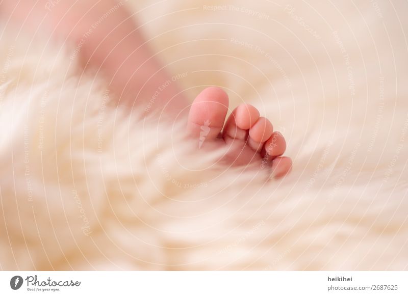 Newborn Haut harmonisch Zufriedenheit Erholung ruhig Wohnung Mensch Baby Beine Fuß 1 0-12 Monate liegen schlafen Gesundheit Glück kuschlig klein niedlich schön