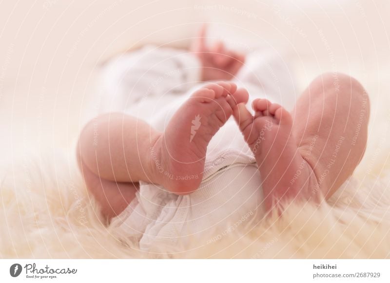 die zweite Lebenswoche Glück Körper Mensch feminin Baby Hand Gesäß Beine Fuß 1 0-12 Monate Liebe liegen fantastisch nah natürlich neu niedlich schön weiß