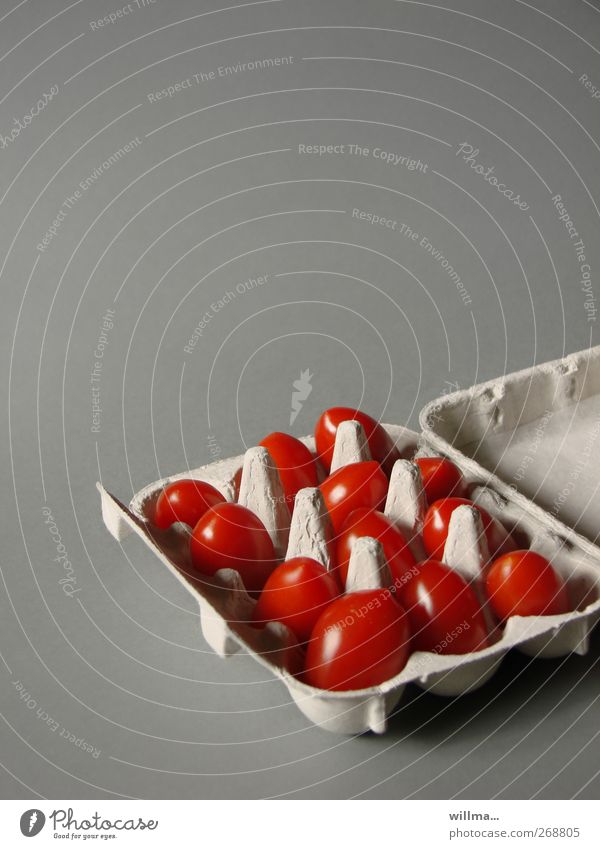 Eiertomaten Tomate Eierkarton Ernährung Bioprodukte Vegetarische Ernährung Diät Gesunde Ernährung frisch lustig grau rot Textfreiraum oben Hintergrund neutral