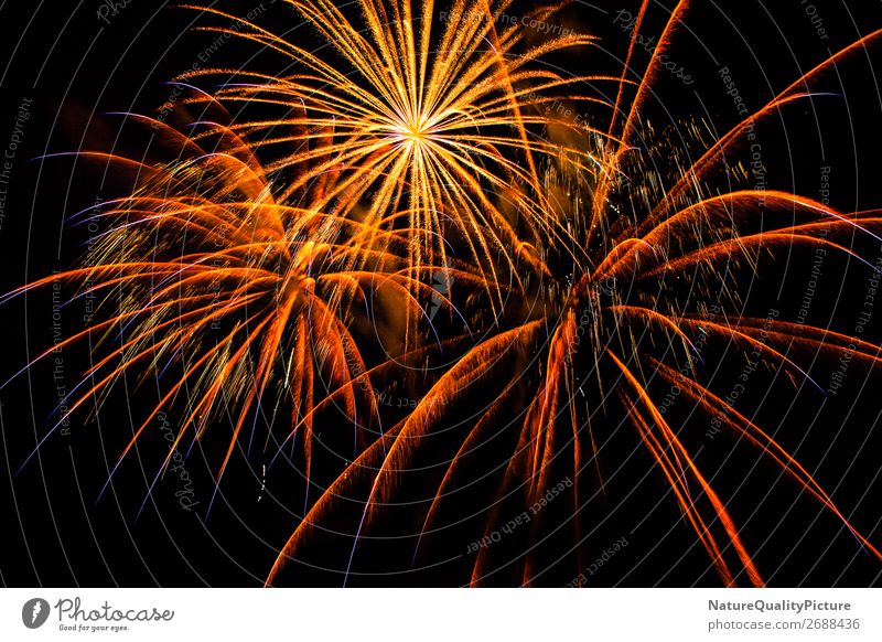 Fantastisches Feuerwerk am Meer - Deutschland Glück Nacht Himmel Feier Party farbenfroh rot Weihnachten Veranstaltung Explosion Stadtfest Wasser Knall