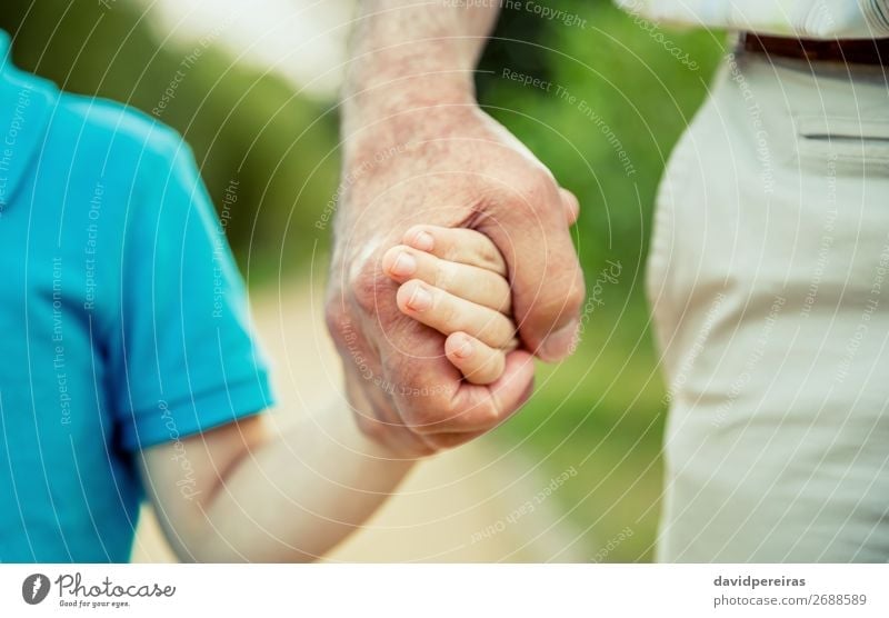 Kind hält die Hand des älteren Menschen in der Natur. Leben Ruhestand Junge Mann Erwachsene Vater Großvater Familie & Verwandtschaft alt Liebe authentisch