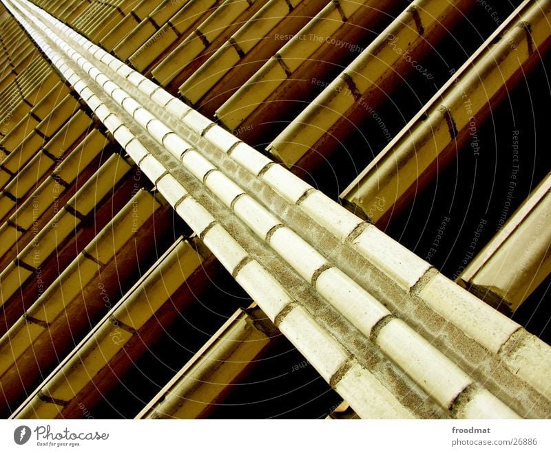voll schräg diagonal Helsinki Finnland Geometrie graphisch Architektur Detailaufnahme Close Perspektive Fliesen u. Kacheln verrückt Strukturen & Formen
