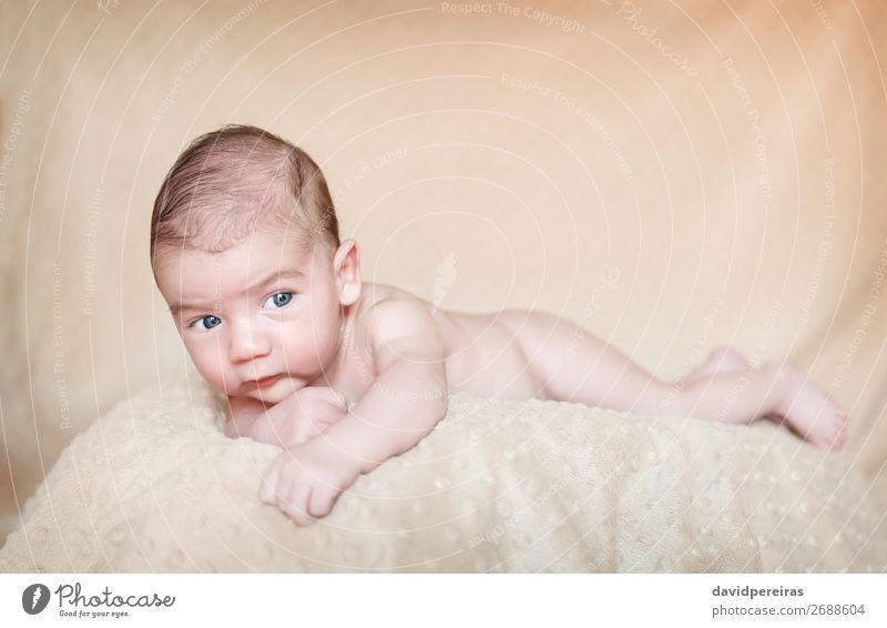 Porträt eines Neugeborenen, das sich über eine Decke legt. Lifestyle Glück schön Körper Haut Gesicht Leben Erholung Kind Mensch Baby Junge Kindheit Liebe