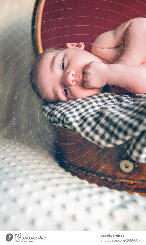 Neugeborenes Baby, das über dem Reisekoffer liegt. Freude schön Körper Haut Gesicht Leben Erholung Ferien & Urlaub & Reisen Kind Mensch Junge Kindheit Koffer