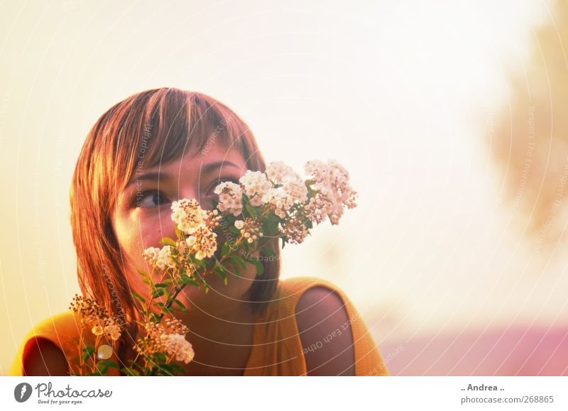 Versteckspiel Mensch feminin 1 18-30 Jahre Jugendliche Erwachsene Park Wiese beobachten Blühend Duft Erholung genießen schön Stimmung Frühlingsgefühle