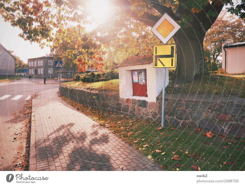 Navi Mensch Herbst Baum Gras Polen Dorf bevölkert Haus Verkehr Verkehrswege Straße Straßenkreuzung Verkehrszeichen Verkehrsschild Bürgersteig leuchten