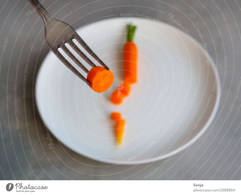 Diät - Nahaufnahme einer Karotte auf einer Gabel Lebensmittel Gemüse Möhre Ernährung Mittagessen Abendessen Vegetarische Ernährung Fasten Geschirr Teller lecker