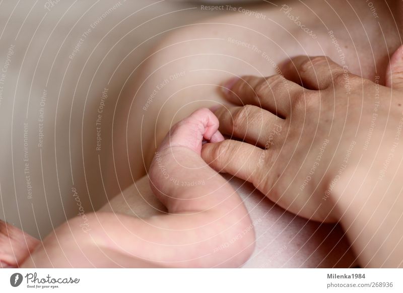 kleine Hand und große Hand II Mensch feminin Kind Baby Eltern Erwachsene Mutter Familie & Verwandtschaft Kindheit Arme 2 0-12 Monate Glück Gefühle Lebensfreude