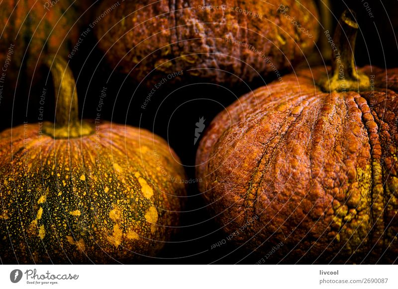 Kürbisse auf schwarzem Hintergrund Lebensmittel Gemüse Ernährung Vegetarische Ernährung Diät Halloween Menschengruppe Natur Herbst Pflanze Gesundheit gut lecker