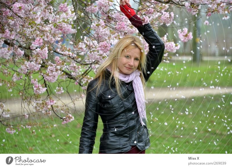 Rosa Regen Mensch feminin Frau Erwachsene 1 18-30 Jahre Jugendliche Natur Pflanze Frühling Baum Blüte Garten Park blond schön Kirschblüten rosa Farbfoto