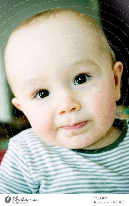 suppp!!! maskulin Baby Kleinkind Kopf 1 Mensch 0-12 Monate brünett kurzhaarig Blick frech Gelassenheit Kindheit braunes Auge direkter Blick Farbfoto Porträt