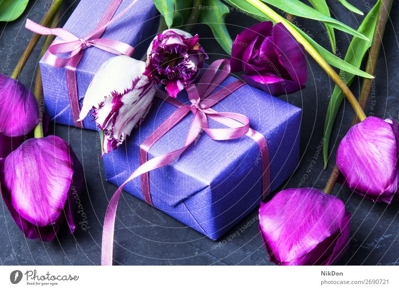 Geschenk und Tulpe Kasten Blume Frühling Tag Blumenstrauß Valentinsgruß Liebe rosa Feiertag romantisch schön Mutter präsentieren Gruß Geburtstag Jahrestag