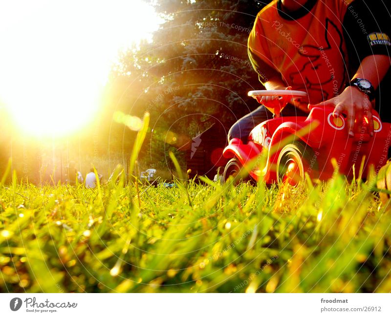 Bobby Car Bobbycar Wiese Gegenlicht Spielzeug Reh Sommer Spielen Gras Physik Verkehr Sonne Idylle Wärme mehrfarbig