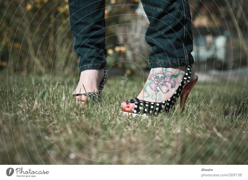 Footattoo Mensch feminin Junge Frau Jugendliche Erwachsene Körper Fuß 1 18-30 Jahre Rockabilly Gras Sträucher Garten Mode Bekleidung Jeanshose Schuhe